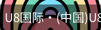 U8国际